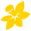 cancervic.org.au