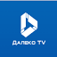 dailytv.ru
