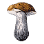 globalfungi.com