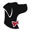 lebonchien.ca