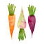 thehiddenveggies.com