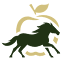 timothyhill.org