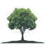 uktreescapes.org