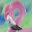 animaleyesgallery.com