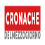 cronachedelmezzogiorno.it