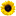 ecoresearch.net