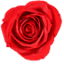 elcaminoflorist.net