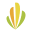 gocongo.com