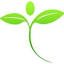 healthygreensavvy.com