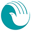 newmowasat.com