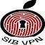 sib-vpn.com