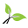 taostar.com