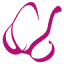 thelittlebracompany.com