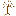 tracingcenter.org