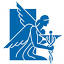 blueiris.com
