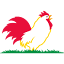 fosterfarms.com
