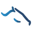ftboa.com