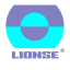 lionsemachining.com
