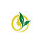mustardseedspa.com