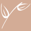 stlcosmeticsurgery.com