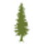 cedar-grove.com