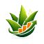 lr-aloevera-marketing.com