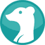 vibecatch.com