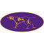 westminsterkennelclub.org
