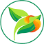 attarpich.com