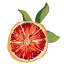 citrusandcharm.com