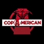 copaamericanperu.com