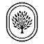 elwoodclub.com