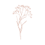 flourishcreative.co