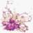 hepaticaflorist.ca