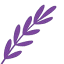 lavenderpondfarm.com