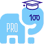 pro100online.ru