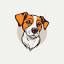 thedogsuniverse.in