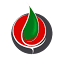 alefdezful.com