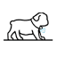 bluediamondfamilypups.com