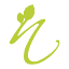 chiroacu1.com