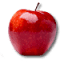 education.net.au