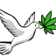 free-the-tree.com