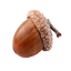 jenacorn.com