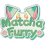 matchafurry.us