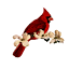 sncurcs.org