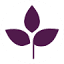 tairai.com