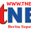 tnews.co.id