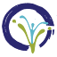 vitallifewellness.com