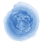 accolticonamore.org