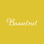 basset.net